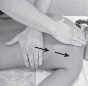 Иллюстрация к книге — Боль в спине. Как определить причину и устранить приступ [i_019.jpg]