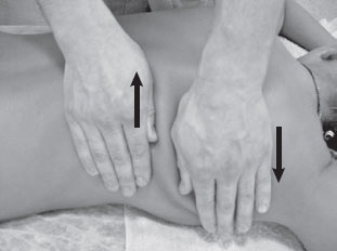 Иллюстрация к книге — Боль в спине. Как определить причину и устранить приступ [i_028.jpg]