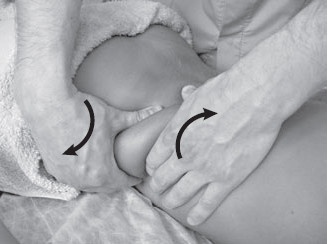 Иллюстрация к книге — Боль в спине. Как определить причину и устранить приступ [i_044.jpg]