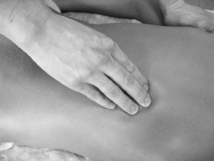 Иллюстрация к книге — Боль в спине. Как определить причину и устранить приступ [i_047.jpg]