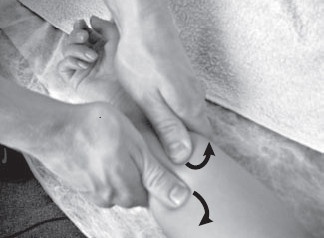 Иллюстрация к книге — Боль в спине. Как определить причину и устранить приступ [i_050.jpg]