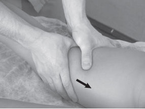 Иллюстрация к книге — Боль в спине. Как определить причину и устранить приступ [i_059.jpg]