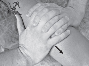 Иллюстрация к книге — Боль в спине. Как определить причину и устранить приступ [i_063.jpg]