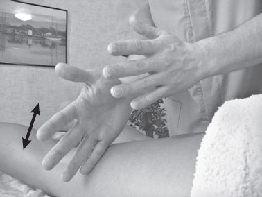 Иллюстрация к книге — Боль в спине. Как определить причину и устранить приступ [i_072.jpg]