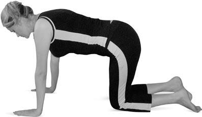 Иллюстрация к книге — Боль в спине. Как определить причину и устранить приступ [i_108.jpg]