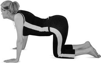 Иллюстрация к книге — Боль в спине. Как определить причину и устранить приступ [i_109.jpg]