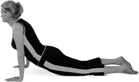 Иллюстрация к книге — Боль в спине. Как определить причину и устранить приступ [i_113.jpg]