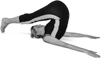 Иллюстрация к книге — Боль в спине. Как определить причину и устранить приступ [i_157.jpg]