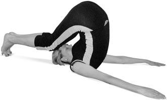 Иллюстрация к книге — Боль в спине. Как определить причину и устранить приступ [i_158.jpg]