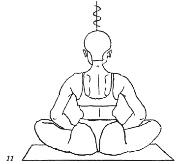 Иллюстрация к книге — Настольная книга для истинной женщины. Секреты естественного омоложения и очищения организма [i_011.jpg]