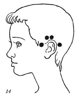 Иллюстрация к книге — Настольная книга для истинной женщины. Секреты естественного омоложения и очищения организма [i_014.jpg]