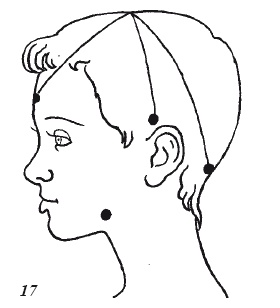 Иллюстрация к книге — Настольная книга для истинной женщины. Секреты естественного омоложения и очищения организма [i_017.jpg]