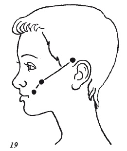 Иллюстрация к книге — Настольная книга для истинной женщины. Секреты естественного омоложения и очищения организма [i_019.jpg]