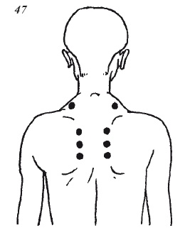Иллюстрация к книге — Настольная книга для истинной женщины. Секреты естественного омоложения и очищения организма [i_057.jpg]