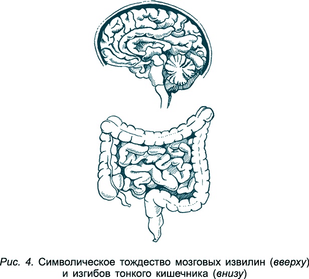 Иллюстрация к книге — Проблемы пищеварения. Какие задачи скрываются за желудочными и кишечными симптомами [_53688.jpg]