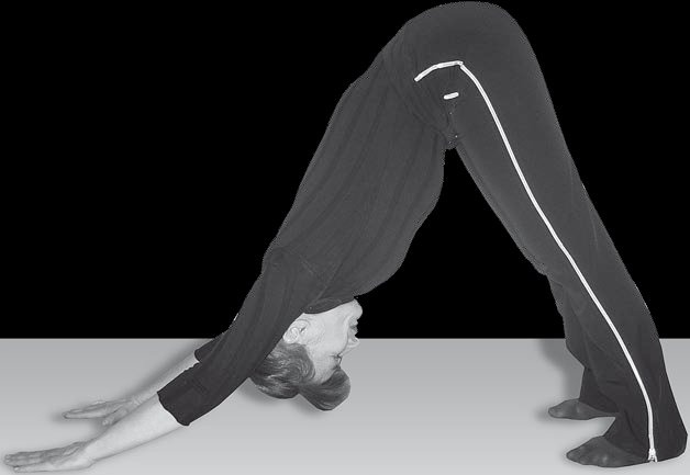 Иллюстрация к книге — Йога для офисных работников. Целебные комплексы от "сидячих болезней" [i_077.jpg]