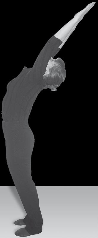 Иллюстрация к книге — Йога для офисных работников. Целебные комплексы от "сидячих болезней" [i_079.jpg]