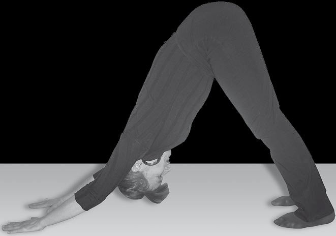 Иллюстрация к книге — Йога для офисных работников. Целебные комплексы от "сидячих болезней" [i_082.jpg]