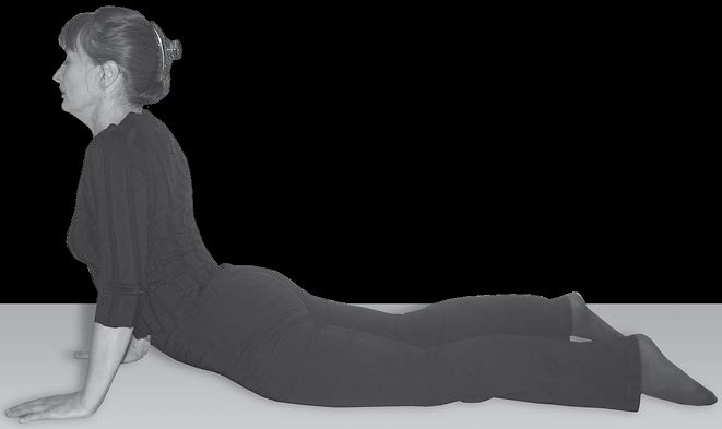 Иллюстрация к книге — Йога для офисных работников. Целебные комплексы от "сидячих болезней" [i_084.jpg]