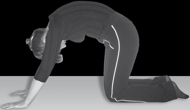 Иллюстрация к книге — Йога для офисных работников. Целебные комплексы от "сидячих болезней" [i_086.jpg]