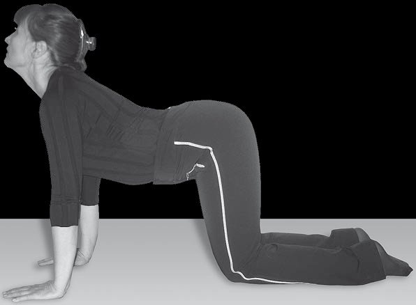 Иллюстрация к книге — Йога для офисных работников. Целебные комплексы от "сидячих болезней" [i_087.jpg]