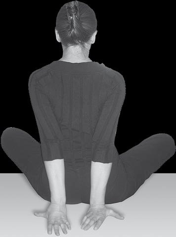 Иллюстрация к книге — Йога для офисных работников. Целебные комплексы от "сидячих болезней" [i_101.jpg]