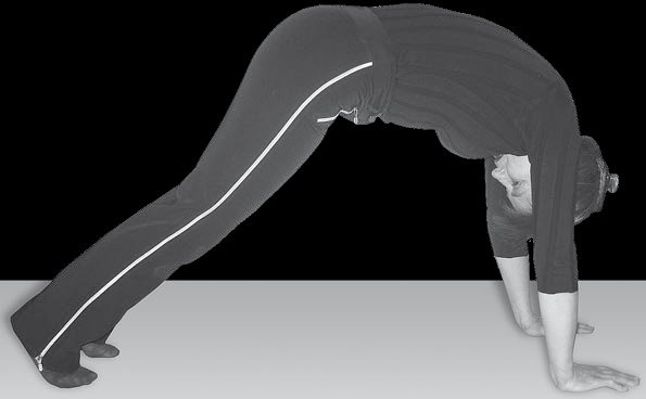 Иллюстрация к книге — Йога для офисных работников. Целебные комплексы от "сидячих болезней" [i_104.jpg]