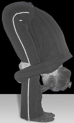 Иллюстрация к книге — Йога для офисных работников. Целебные комплексы от "сидячих болезней" [i_110.jpg]