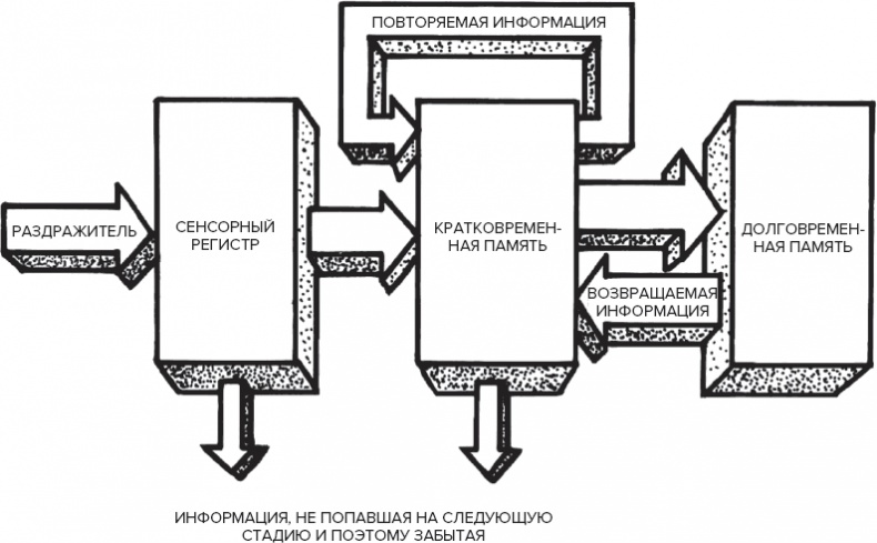 Иллюстрация к книге — Память. Пронзительные откровения о том, как мы запоминаем и почему забываем [i_005.jpg]