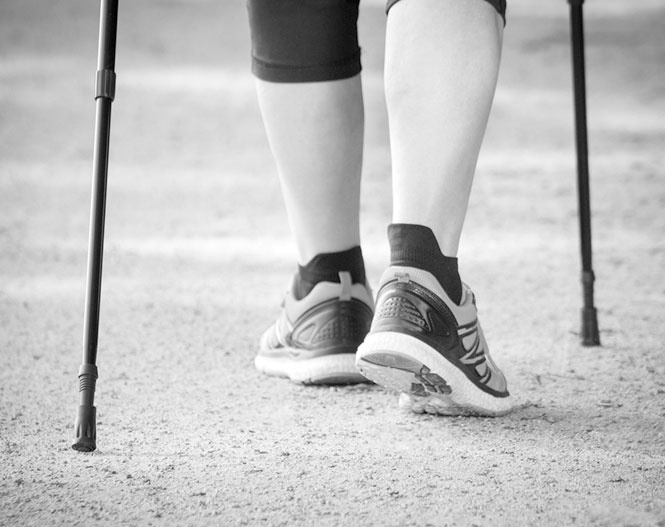 Иллюстрация к книге — Лечение скандинавской ходьбой. Оздоровительные практики [i_003.jpg]