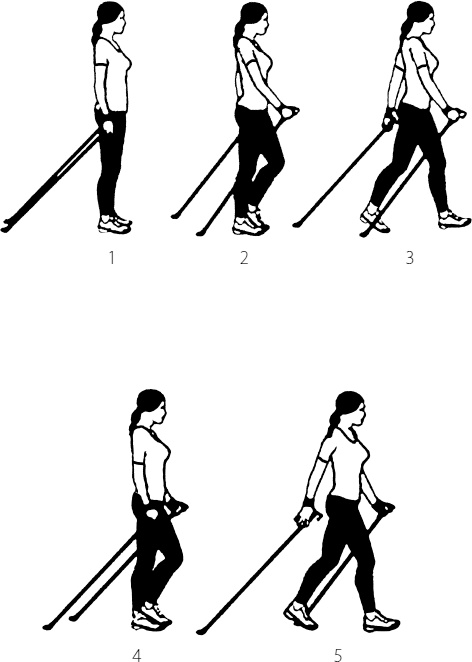 Иллюстрация к книге — Лечение скандинавской ходьбой. Оздоровительные практики [i_005.jpg]