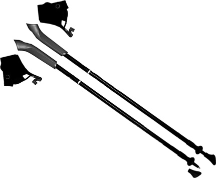 Иллюстрация к книге — Лечение скандинавской ходьбой. Оздоровительные практики [i_012.jpg]