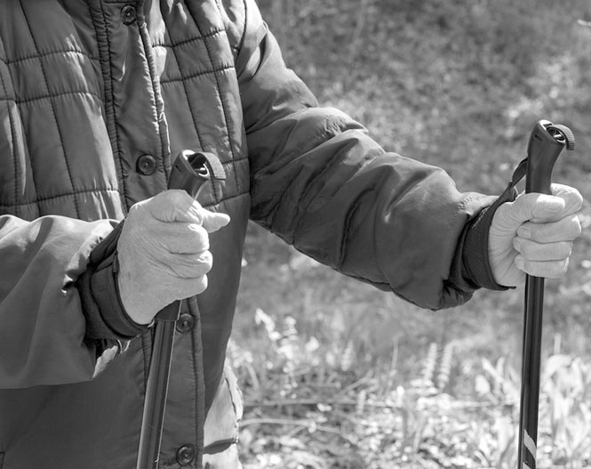 Иллюстрация к книге — Лечение скандинавской ходьбой. Оздоровительные практики [i_013.jpg]