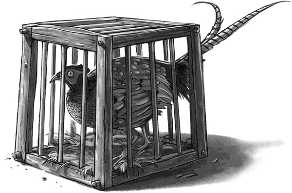 Иллюстрация к книге — Страна сказок. За гранью сказки [i_033.jpg]