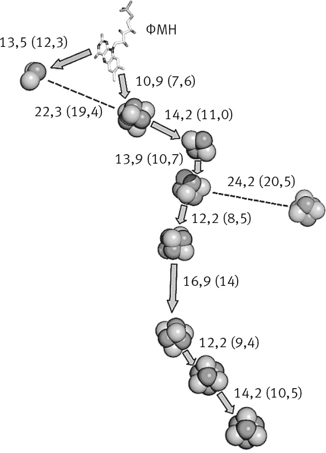Иллюстрация к книге — Вопрос жизни. Энергия, эволюция и происхождение сложности [i_008.jpg]