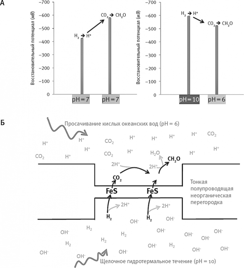 Иллюстрация к книге — Вопрос жизни. Энергия, эволюция и происхождение сложности [i_016.jpg]