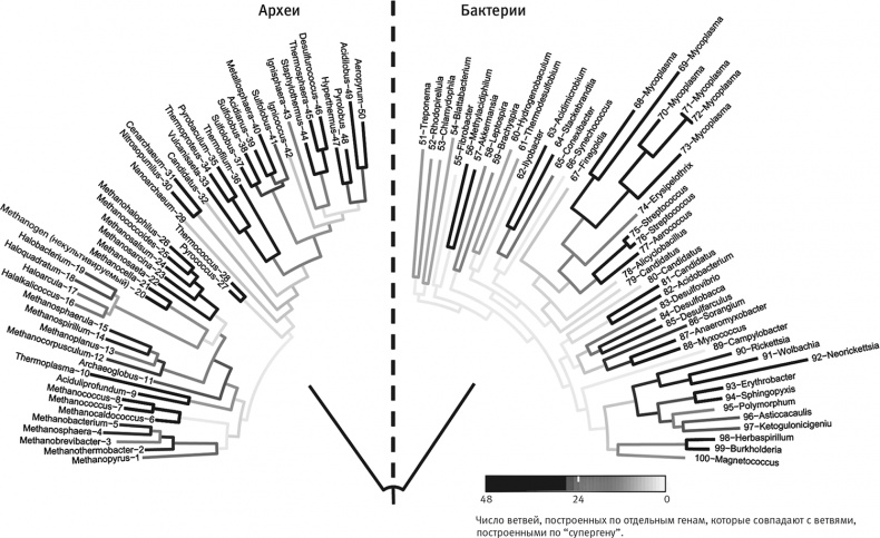 Иллюстрация к книге — Вопрос жизни. Энергия, эволюция и происхождение сложности [i_018.jpg]