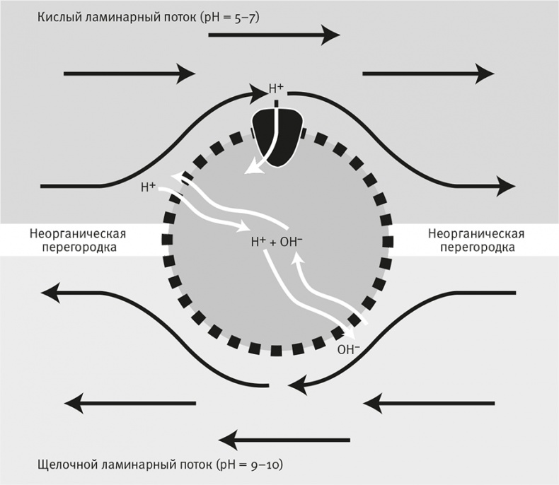 Иллюстрация к книге — Вопрос жизни. Энергия, эволюция и происхождение сложности [i_019.jpg]