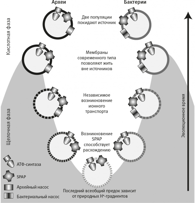 Иллюстрация к книге — Вопрос жизни. Энергия, эволюция и происхождение сложности [i_021.jpg]