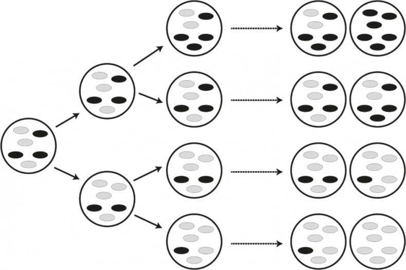 Иллюстрация к книге — Вопрос жизни. Энергия, эволюция и происхождение сложности [i_032.jpg]
