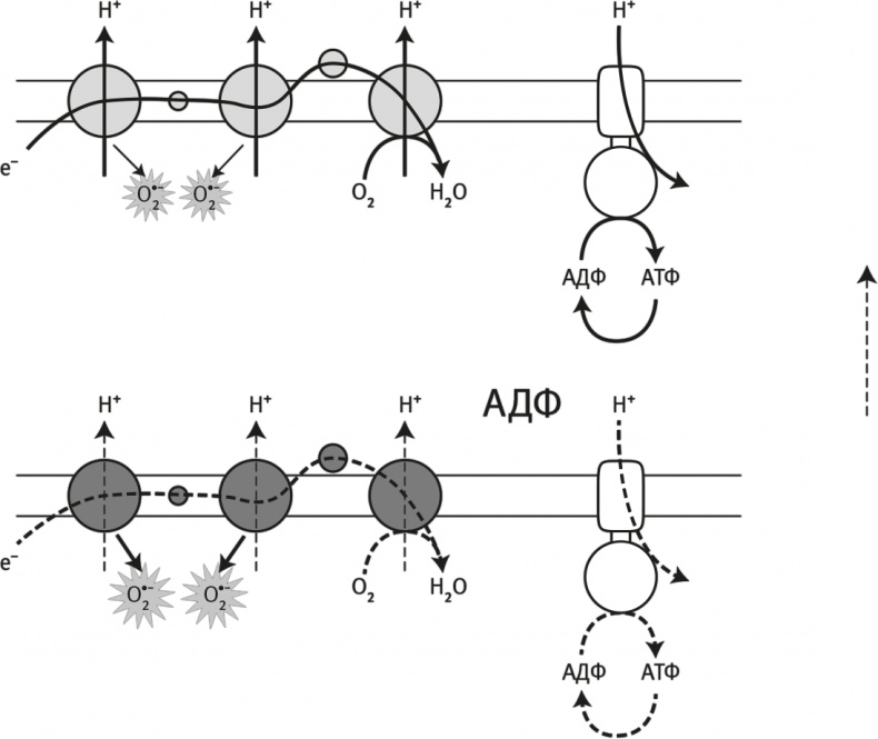 Иллюстрация к книге — Вопрос жизни. Энергия, эволюция и происхождение сложности [i_038.jpg]