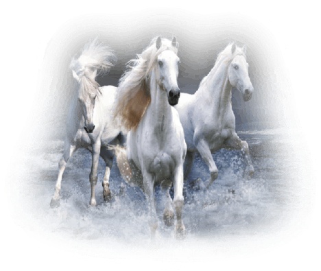 Иллюстрация к книге — Ангелы Эво. Книга 1. Восставший разум [i_001.jpg]