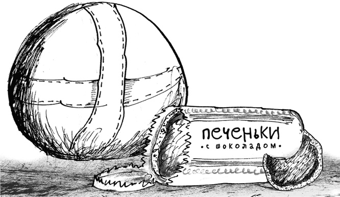 Иллюстрация к книге — Команда троллей [i_010.jpg]