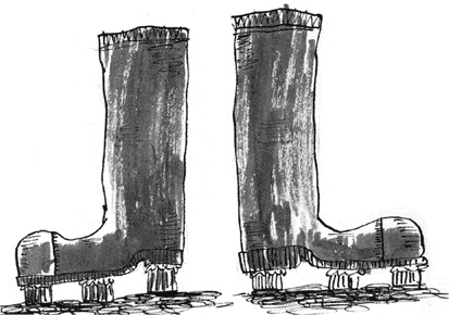 Иллюстрация к книге — Команда троллей [i_026.jpg]