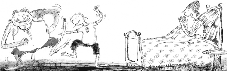 Иллюстрация к книге — Тролли, идите домой! [i_009.jpg]