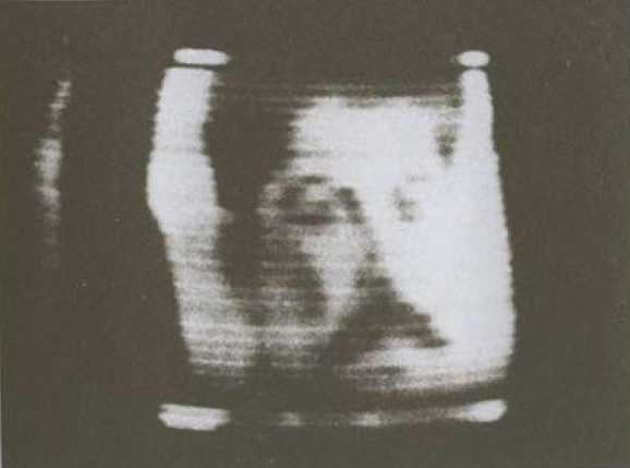 Иллюстрация к книге — Расплетин [i_025.jpg]