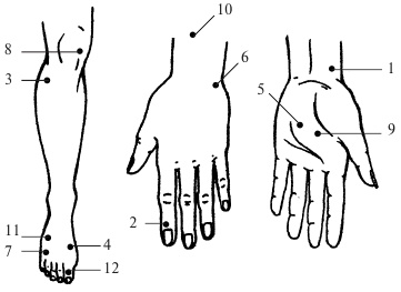 Иллюстрация к книге — Энергетическое питание. Макробиотика [i_001.jpg]