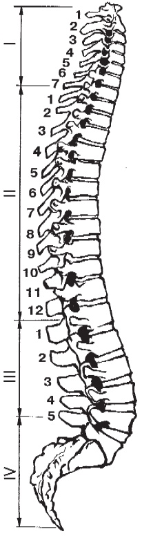 Иллюстрация к книге — Алхимия здоровья. 6 &quot;золотых&quot; правил [i_004.jpg]
