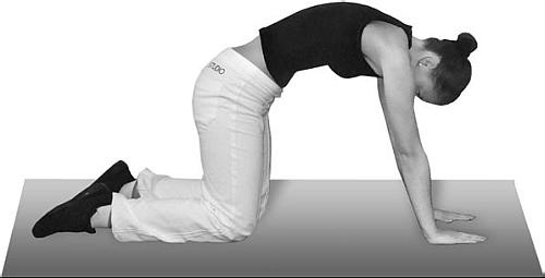 Иллюстрация к книге — Как восстановить фигуру после родов [_21.jpg]