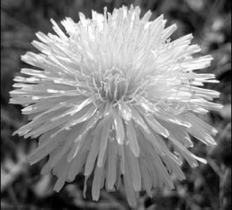 Иллюстрация к книге — Как восстановить фигуру после родов [_60.jpg]